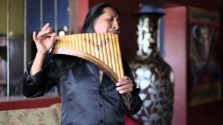 Hallelujah on Panflute  Aleluya by Edgar Muenala  Official Music Video [upl. by Nitsuga51]