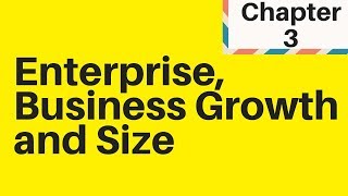 13 Enterprise Business Growth and Size  IGCSE Business Studies [upl. by Eiclek]