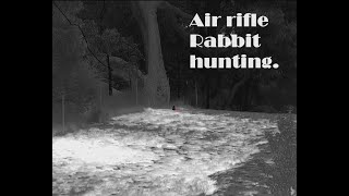 FX Dreamline Air Rifle Rabbit hunting [upl. by Colinson437]