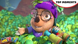 Dottys Top Mystery Solving Moments 🔎  Best of Moley  moley kidstv animatedseries cartoons [upl. by Notsniw184]