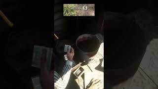 Only 1 of players found this Secret MONEY LOOT in RDR2 [upl. by Eillo332]