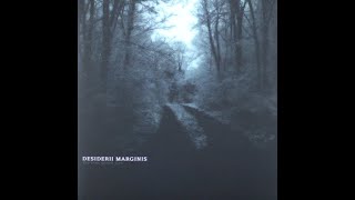 Dark Ambient ✷ Desiderii Marginis ✷ The Ever Green Tree ✷ Occult Meditative Minimalism [upl. by Nalid]