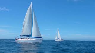 Capturing the Wind A Spectacular Regatta Sailing Adventure in Cabo [upl. by Imarej]