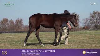 Hip 13  Weanling Filly by Golden Pal  Sastrugi [upl. by Adamina]