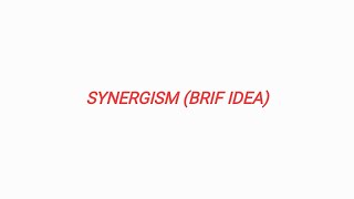 SYNERGISM BRIF IDEA [upl. by Lotus]