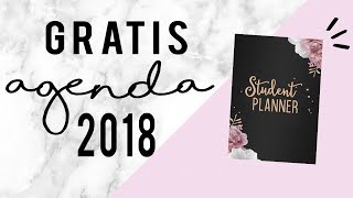 AGENDA para IMPRIMIR GRATIS 2018  UNIVERSIDAD  ESCUELA [upl. by Kenay]