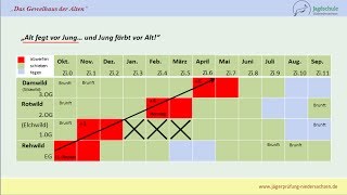 Jägerprüfung Niedersachsen Das Geweihaus der Alten [upl. by Moira]