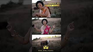 Nolly M  Emaweni promo [upl. by Anerom]