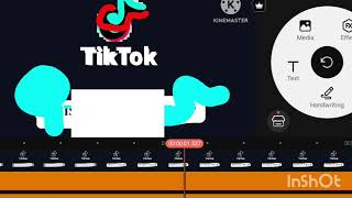 Tiktok Logo Speedrun Kinemaster like 14x Speed [upl. by Nilpik117]