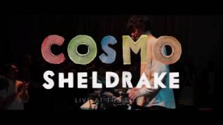 Cosmo Sheldrake  Live Improv in London  Track 8 [upl. by Euqirdor409]