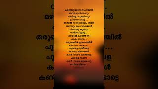 Kanavinte Kallayi✨ Sajeer Koppam  Shabnam Rafeeque sajeerkoppam trending shorts lyrics newsong [upl. by Ollehcram484]