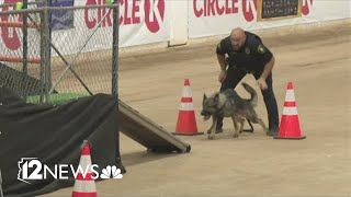 Desert Dog police K9 trials [upl. by Reggy779]