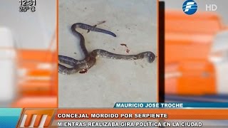 Concejal colorado fue mordido por una serpiente [upl. by Uahsoj856]