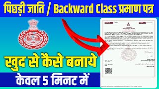 Backward Class Certificate Kaise Banaye  How To Apply Backward Caste Certificate Online [upl. by Gleda]