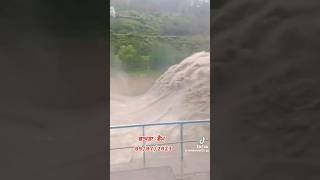 Bhakhra Dam flood gate open in 2023  भाखरा बांध का flood gate खुलता हुआ [upl. by Eatnahc]