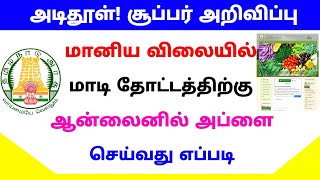 how to apply maadi thottam kit  maadi thottam scheme in tamil  Tricky world [upl. by Ssilb]