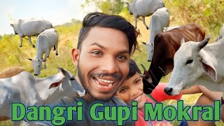 Dangri Gupi Mokral  New Santhali Vlogs Dangri Gupi Videos pamivlogesantali3111 [upl. by Malcom129]