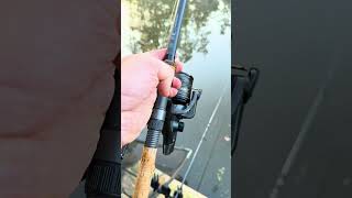 🔊 Sound ON for this one 👌 The satisfying noise of a ticking clutch 😍 Carpy CarpFishing [upl. by Liamsi]