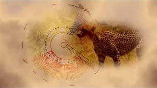 Best Documentaries  The Evolution of Mammals Part 1  Meet the Synapsids [upl. by Athalee]