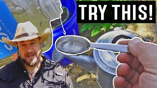 This Simple Gardening Trick Turns Poor Draining Soil Into Well Draining Soil [upl. by Rheba379]