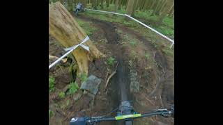 DM Willingen 2024 mtb crash [upl. by Durning951]