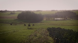 BIODYNAMISKE OMLÆGNINGSTJEK HOS ØKOLOGISKE LANDMÆND [upl. by Nylahsoj797]