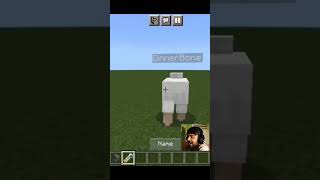 DinnerBone 😂😂 and ❤❤❤🤣🤣🤣 minecraft hack ticktock mcpe sheep [upl. by Aroc99]