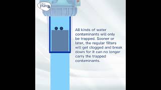 Pureit water purifier vs Regular filters and strainers [upl. by Coryden444]