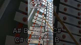 JOPAYMAYONNAISELYRE XYLOPHONE COVERLYRE NOTES [upl. by Alpheus926]