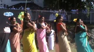 Incredible performance by Monaragala Royal College teachers in World Childrens Day celebration dance [upl. by Whiney361]