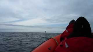 Bumpy Ride  Volcano Coast Exploration by Ocean Raft MS Oosterdam Sitka Alaska [upl. by Lahpos257]