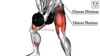 dumbbell bar grip sumo squat [upl. by Giuseppe120]