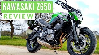 2019 Kawasaki Z650 Review [upl. by Stuppy165]