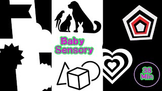 Baby Sensory Black and White [upl. by Anowahs]