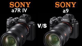 Sony a7R IV vs Sony a9  Quick Camera comparison [upl. by Bogie290]