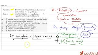 Assertion  The nitrogenfixing bacteria in leguminous plant nodules live as symbionts [upl. by Sirret]
