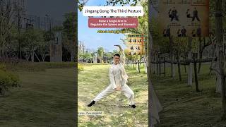 Jingang GongThe Third Posturetaichi kungfu exercise meridian tcm practice chineseculture [upl. by Asila373]