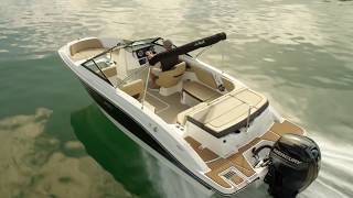 Overview 2019 Sea Ray SPX 210 Outboard Sport Boat [upl. by Crichton]