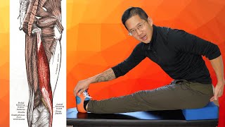 You Need to Do This Stretch TIGHT Lateral Hamstrings  Biceps Femoris [upl. by Anahpos662]