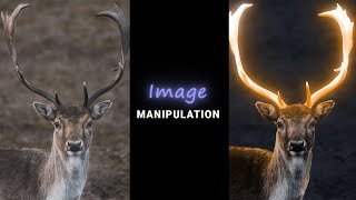 IMAGE MANIPULATION IN PHOTOSHOP [upl. by Doralynn]