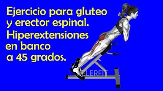 Como ejercitar el glúteo con la rutina hiperextensiones en banco a 45 grados [upl. by Pooley828]