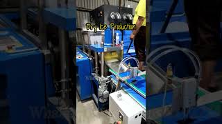 500kgh Dry Ice Blocks Processing Plant with Dry Ice Pelletizer amp Block Press amp Packing Machine [upl. by Gerge]