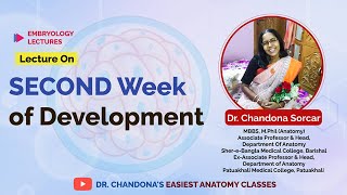 Lecture on Second Week of Development [upl. by Sorrows]