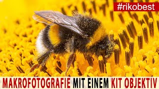 MAKROFOTOGRAFIE 📷 Anfänger TIPPS für tolle Fotos mit einem Kitobjektiv 📷 und Makro Zwischenringen [upl. by Meurer207]