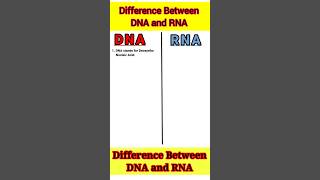 Difference Between DNA and RNA Nucleic Acid  Genetic Material Biology Science Shorts [upl. by Socrates620]