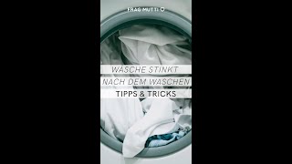 WÃ¤sche stinkt nach dem WaschenðŸ‘ƒ Diese Tipps helfen ðŸ‘• [upl. by Eetsim]