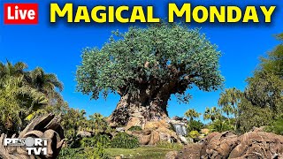 🔴Live A Relaxing Magical Monday at Animal Kingdom  Walt Disney World Live Stream  12224 [upl. by Naot]