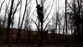 Tree Climbing Without Ropes or Gear [upl. by Allesig658]