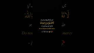 Do Not Despair of Allahs mercy shorts whatsappstatus allah ayat [upl. by Borries315]