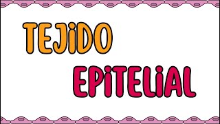 Tejido epitelial [upl. by Yesnel]